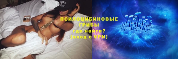 а пвп мука Абаза